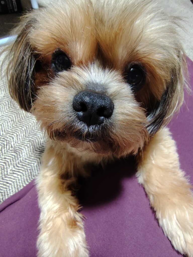 サロン紹介 こふく